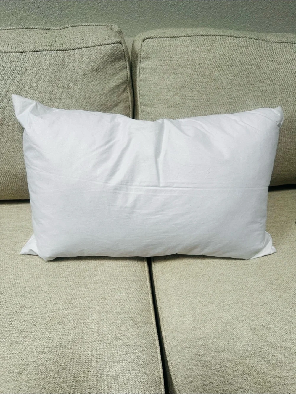 Pottery Barn Woody Car Throw Pillow & Down Insert